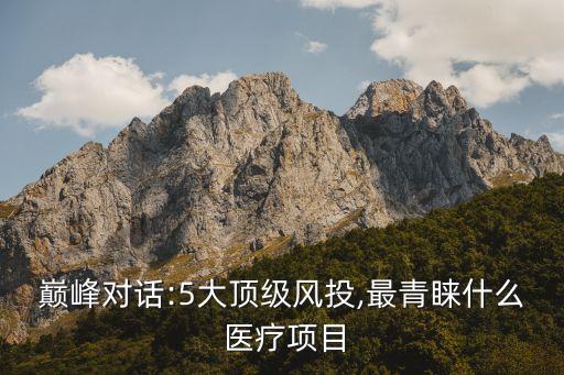 巔峰對話:5大頂級風投,最青睞什么 醫療項目