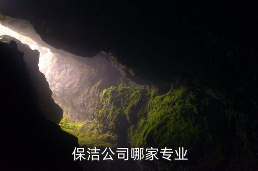  保潔公司哪家專業