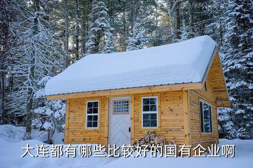  大連都有哪些比較好的國有企業啊