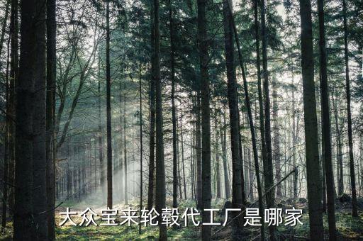 上海資眾實業有限公司,上海優資實業有限公司