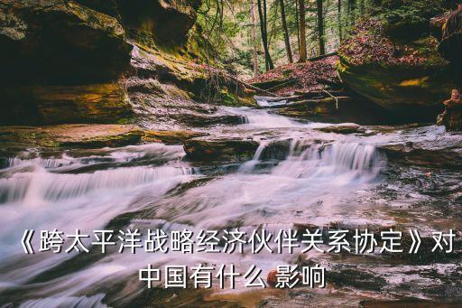 《跨太平洋戰略經濟伙伴關系協定》對中國有什么 影響