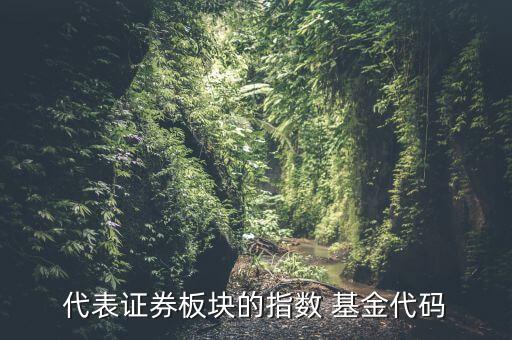 代表證券板塊的指數 基金代碼