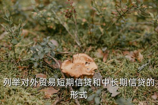 列舉對外貿易短期信貸和中長期信貸的形式