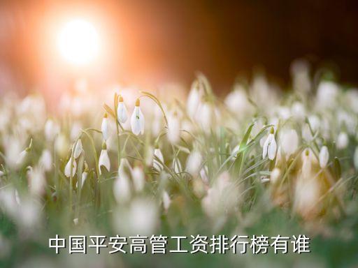 中國(guó)平安高管工資排行榜有誰