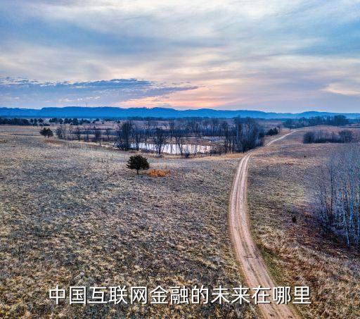 中國互聯網金融的未來在哪里
