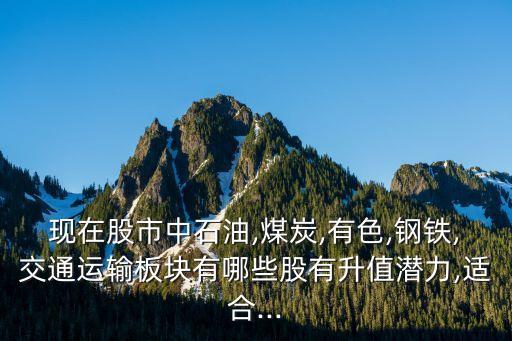 現在股市中石油,煤炭,有色,鋼鐵,交通運輸板塊有哪些股有升值潛力,適合...