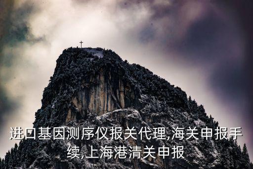 進口基因測序儀報關代理,海關申報手續,上海港清關申報