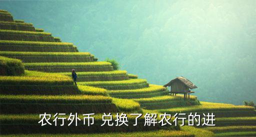 農行外幣 兌換了解農行的進
