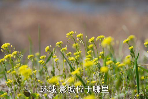 北京環球影城主題樂園