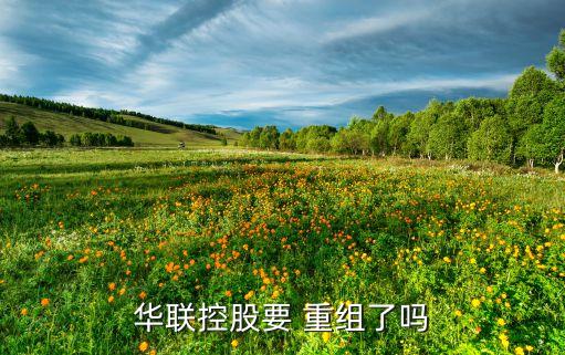 華聯控股要 重組了嗎