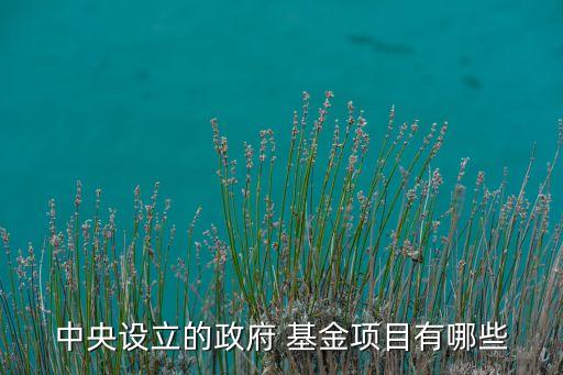 中西部旅游發展基金,江蘇省旅游產業發展基金何總