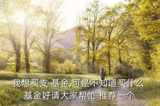 我想買支 基金,可是不知道買什么 基金好請(qǐng)大家?guī)兔?推薦一個(gè)