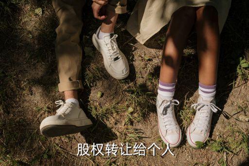  股權轉讓給個人