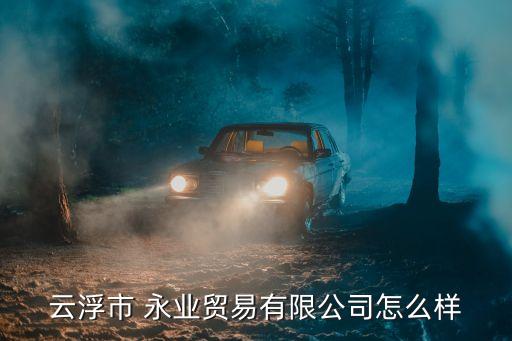 云浮市 永業貿易有限公司怎么樣