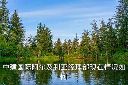 中建國際阿爾及利亞經理部現在情況如何