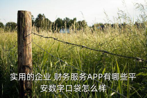 實用的企業 財務服務APP有哪些平安數字口袋怎么樣