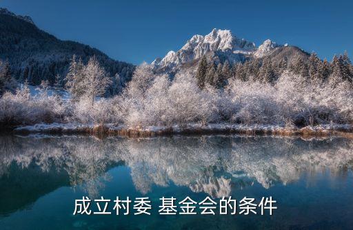 村級發展基金,烏克蘭發展基金