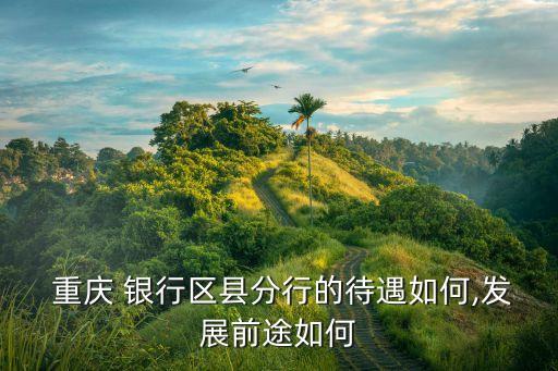  重慶 銀行區縣分行的待遇如何,發展前途如何