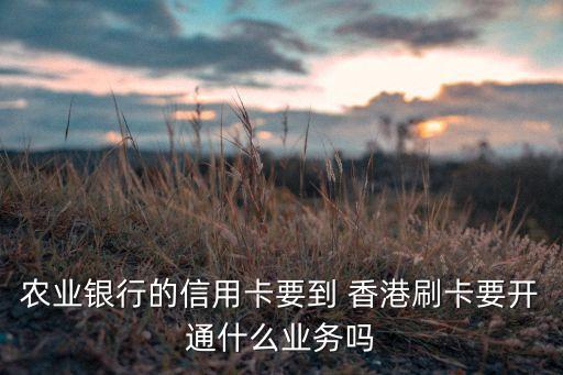 農業銀行的信用卡要到 香港刷卡要開通什么業務嗎