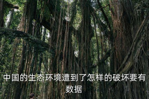 中國忽視環境污染,中國環境污染嚴重的地區