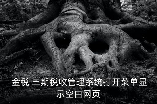  金稅 三期稅收管理系統打開菜單顯示空白網頁