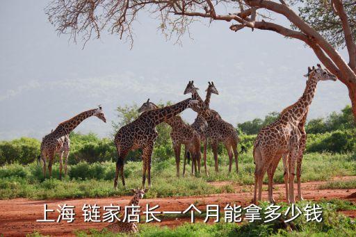  上海 鏈家店長一個(gè)月能拿多少錢