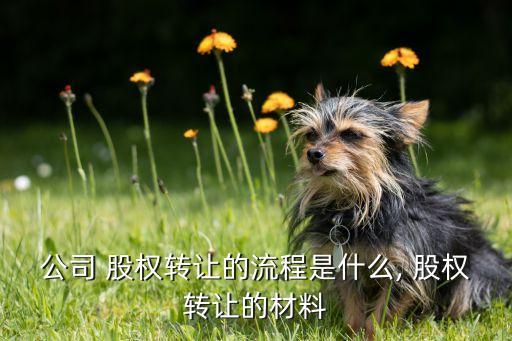 公司 股權轉讓的流程是什么, 股權轉讓的材料