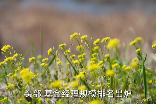 頭部 基金經理規模排名出爐