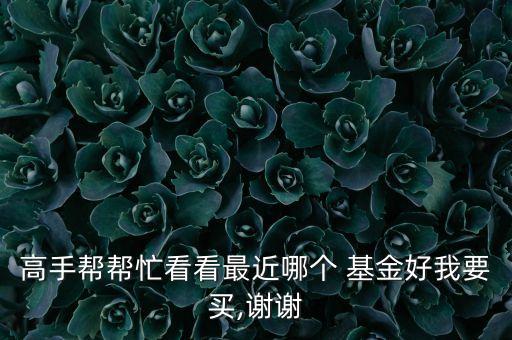 諾安新經濟股票基金