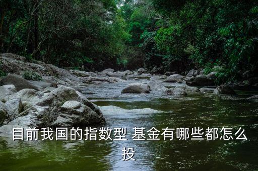 目前我國的指數型 基金有哪些都怎么投