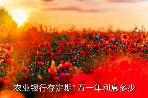  農業銀行存定期1萬一年利息多少