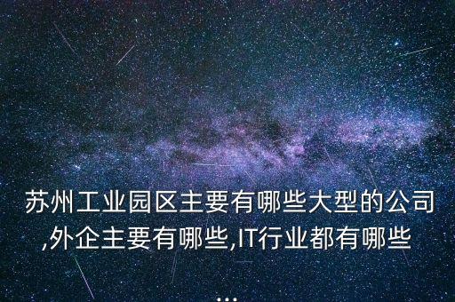  蘇州工業園區主要有哪些大型的公司,外企主要有哪些,IT行業都有哪些...
