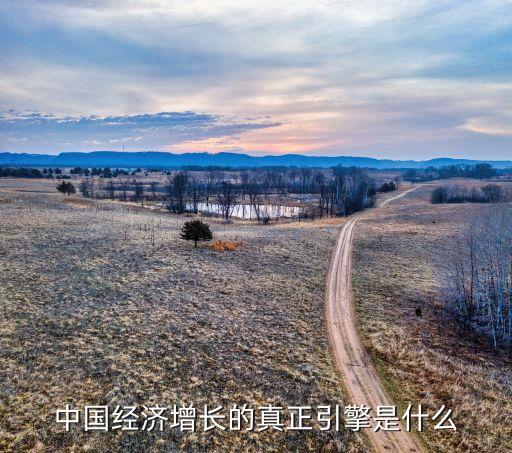 中國經濟增長的真正引擎是什么