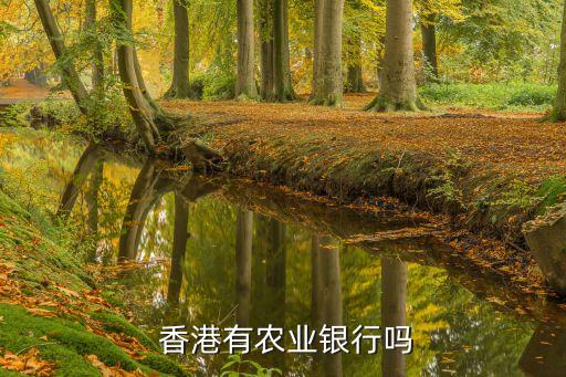  香港有農業銀行嗎