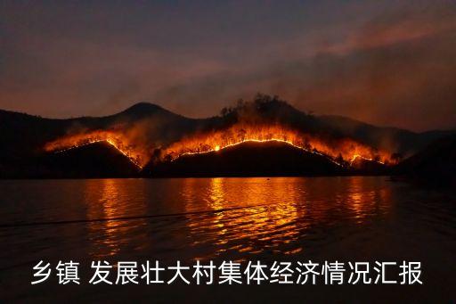 鄉鎮 發展壯大村集體經濟情況匯報