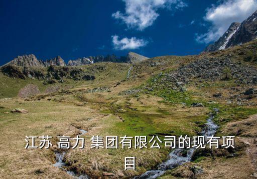  江蘇 高力 集團有限公司的現有項目