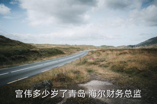 宮偉多少歲了青島 海爾財務總監
