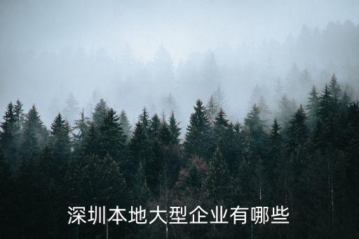 深圳本地大型企業有哪些