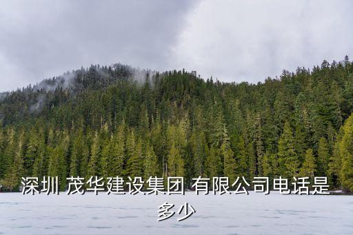 浙江茂華實業有限公司,浙江華浙實業有限公司