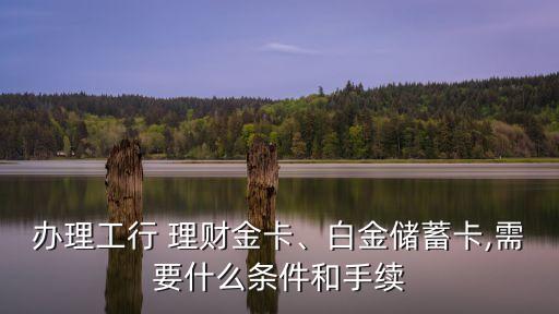 辦理工行 理財金卡、白金儲蓄卡,需要什么條件和手續
