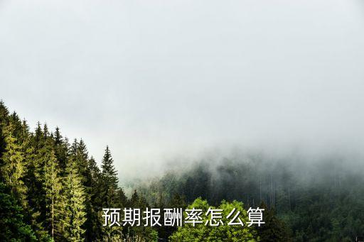  預期報酬率怎么算
