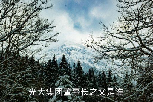 廣東發展銀行老板