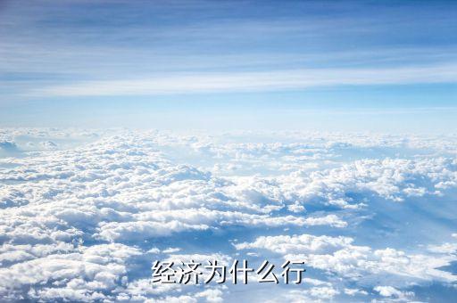 中國經濟為什么行