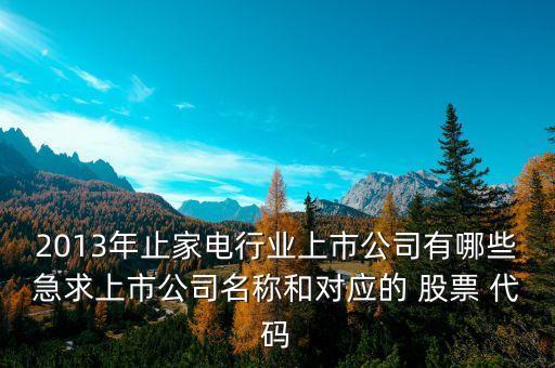 2013年止家電行業上市公司有哪些急求上市公司名稱和對應的 股票 代碼