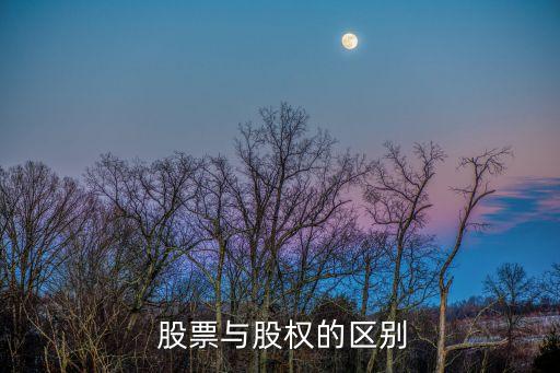  股票與股權的區別