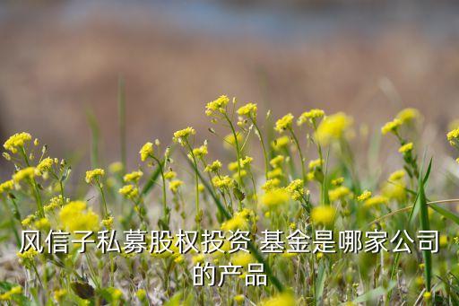 國創開元母基金,國開開元基金董事長