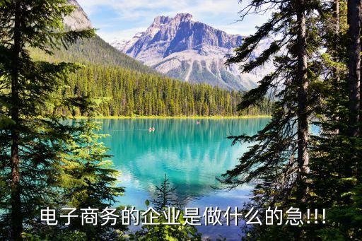  電子商務的企業是做什么的急!!!