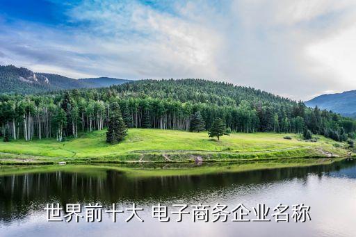 世界前十大 電子商務企業名稱