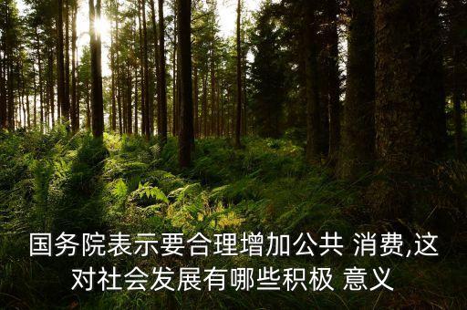 國務院表示要合理增加公共 消費,這對社會發展有哪些積極 意義