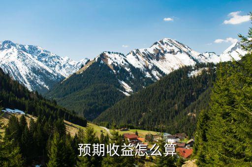  預期收益怎么算